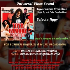 Selecta Jiggy  - Toya Famouz Promotion (Host By Ali Fatz Production)