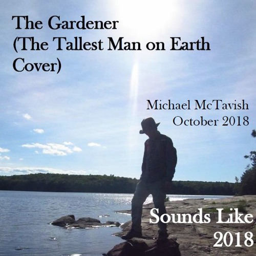 The Gardener The Tallest Man On Earth Cover By Michael Mctavish