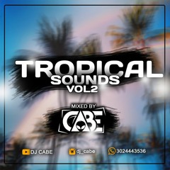 Tropical Sounds Vol2 - DJ Cabe (Special Edition December)