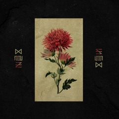 CHRYSANTHEMUM