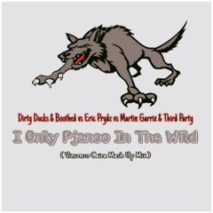Dirty Ducks & Boothed vs Eric Prydz vs Martin Garrix & Third Party - I Only Pjanoo In The Wild (Vincenzo Caira Mash Up Mix).mp3
