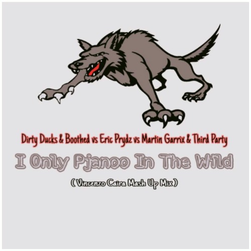 Dirty Ducks & Boothed vs Eric Prydz vs Martin Garrix & Third Party - I Only Pjanoo In The Wild (Vincenzo Caira Mash Up Mix).mp3