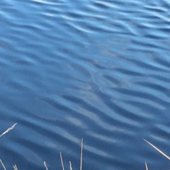 Ambient 004