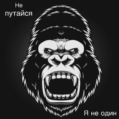 Я не один