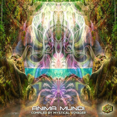 SEEDED VISION - The Passage (OUT NOW on Anima Mundi VA)