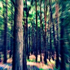 Wi3_ imm3r_3sKaLi3R3n