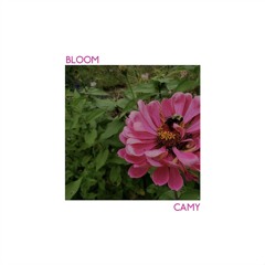 Bloom