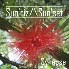 Synapse