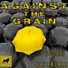 Against The Grain- Peezee ft. Ari Amunah