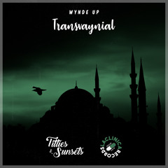 Wynde Up - Transvaynial [Joint Release w/ La Clinica Records]