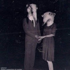 ambient compositions for humans