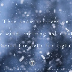 Haiku #256: Thin snow scatters on the wind, / melting as it falls / Cries for help for light