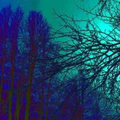 2017 - [ ʀ ʌ ʍ ʍ ] - Find Her (Demo)