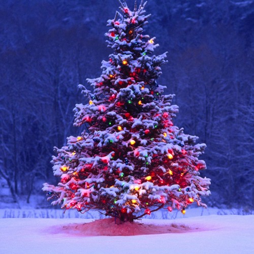 Stream TGF'S Christmas Calendar Song [Bass Boosted] by SpartaWrath