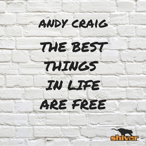 Andy Craig - Best Things In Life (Radio Mix)