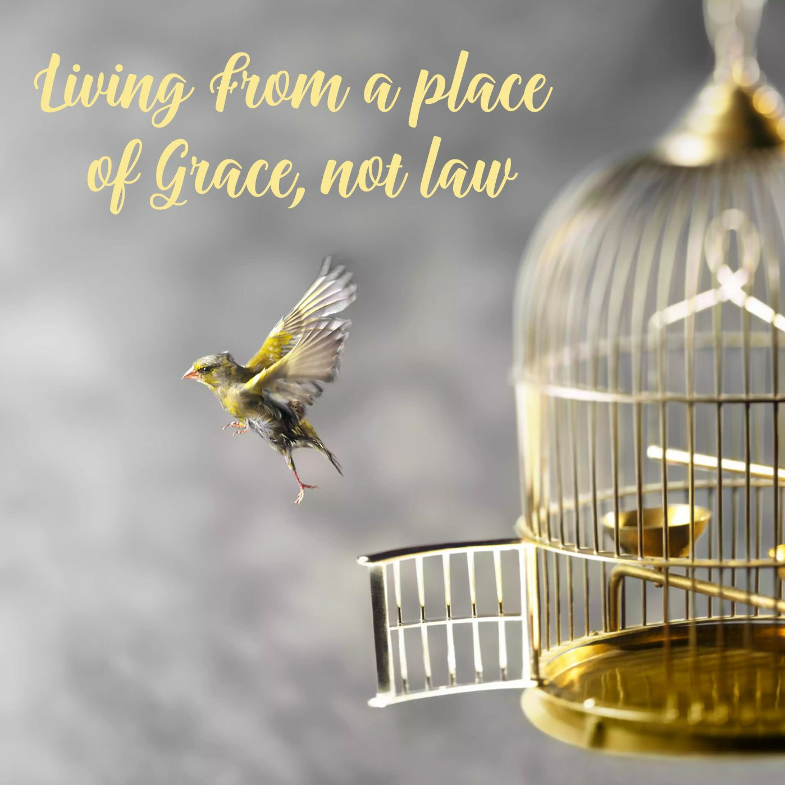 Living From A Place Of Grace, Not Law episode artwork