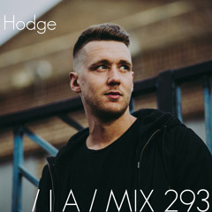 IA MIX 293 Hodge