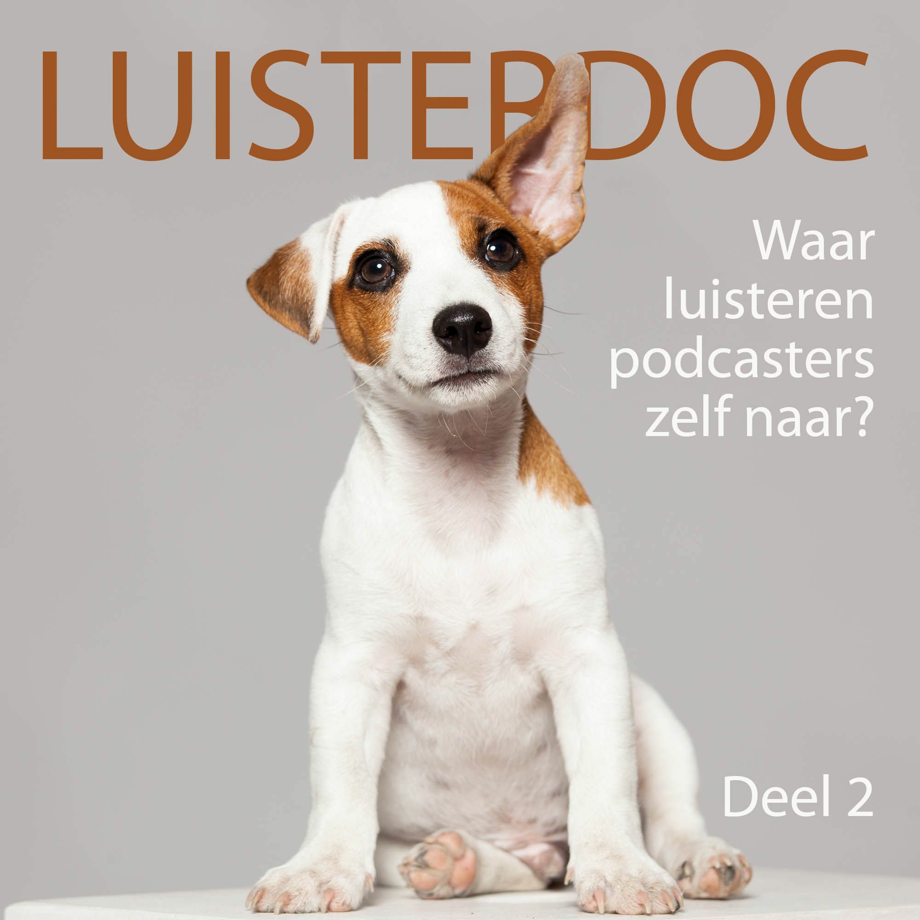 Luisterdoc