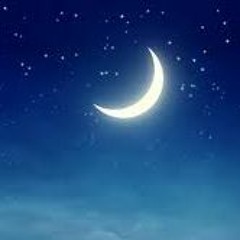 Mendool - hindik148 - Night With Clean Light