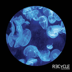 2 Th.is Fake - Got Into The Deep (Max Rosardo Remix)