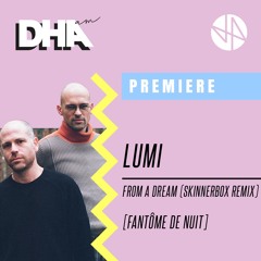 Premiere: Lumi - From A Dream (skinnerbox Remix)[Fantôme de Nuit]
