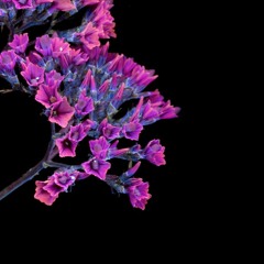 All Things Are Possible.