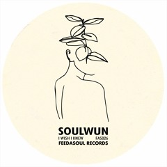 PREMIERE: Soul Wun - State Love [Feedasoul Records]