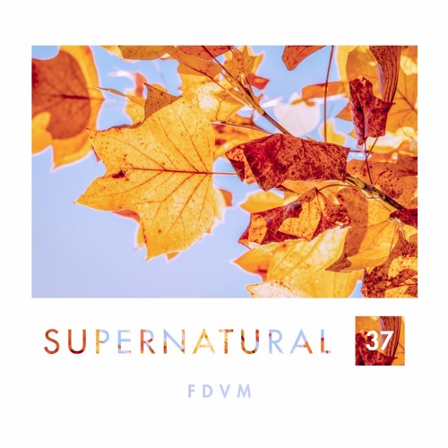 Supernatural 37 by FDVM