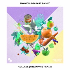 TwoWorldsApart & Chec - Collage (Freakpass Remix)🍉