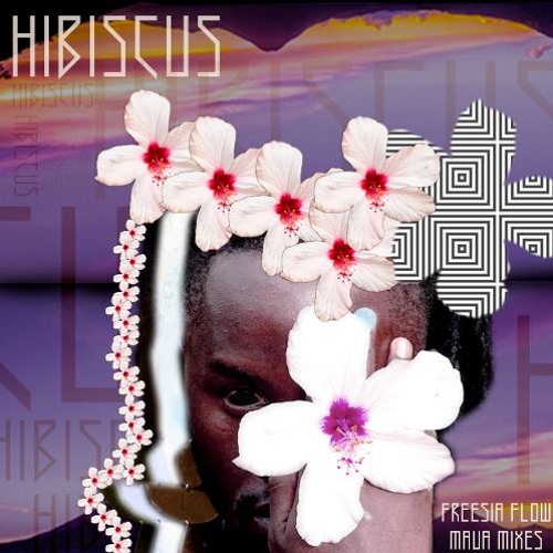 The MAUa MIXEs - HIBISCUs