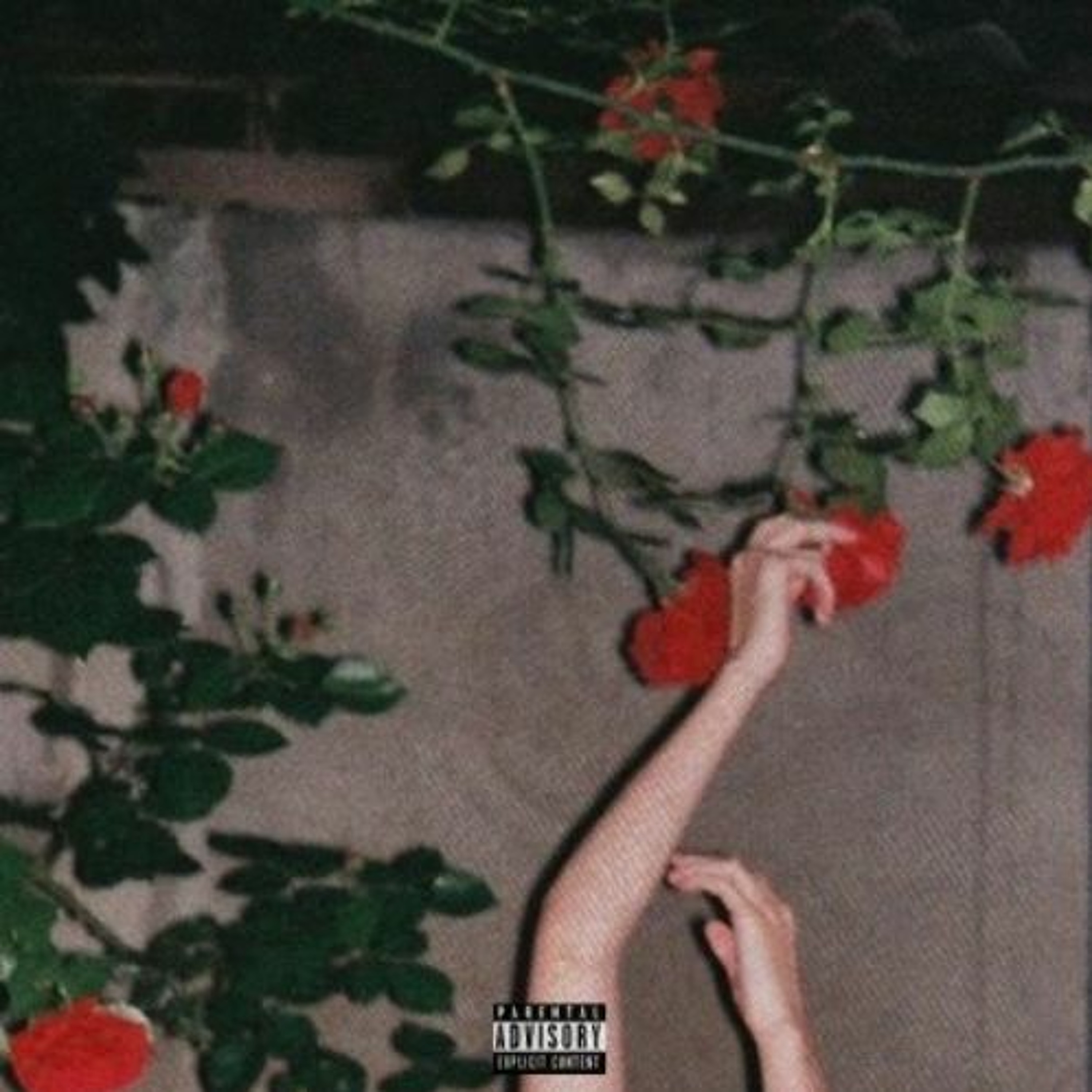 Bad Habits episode artwork