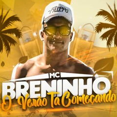 DJ Will KRK Feat. MC Breninho -  Vem Jogando - O Verão Ta Começando