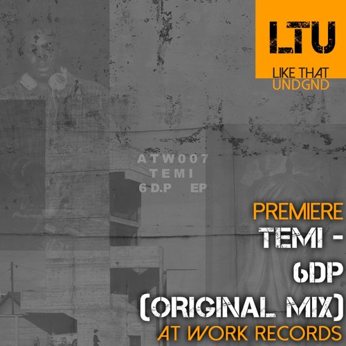 Premiere: Temi - 6DP (Original Mix) | At Work Records