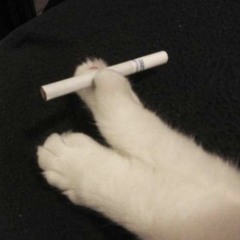 buon