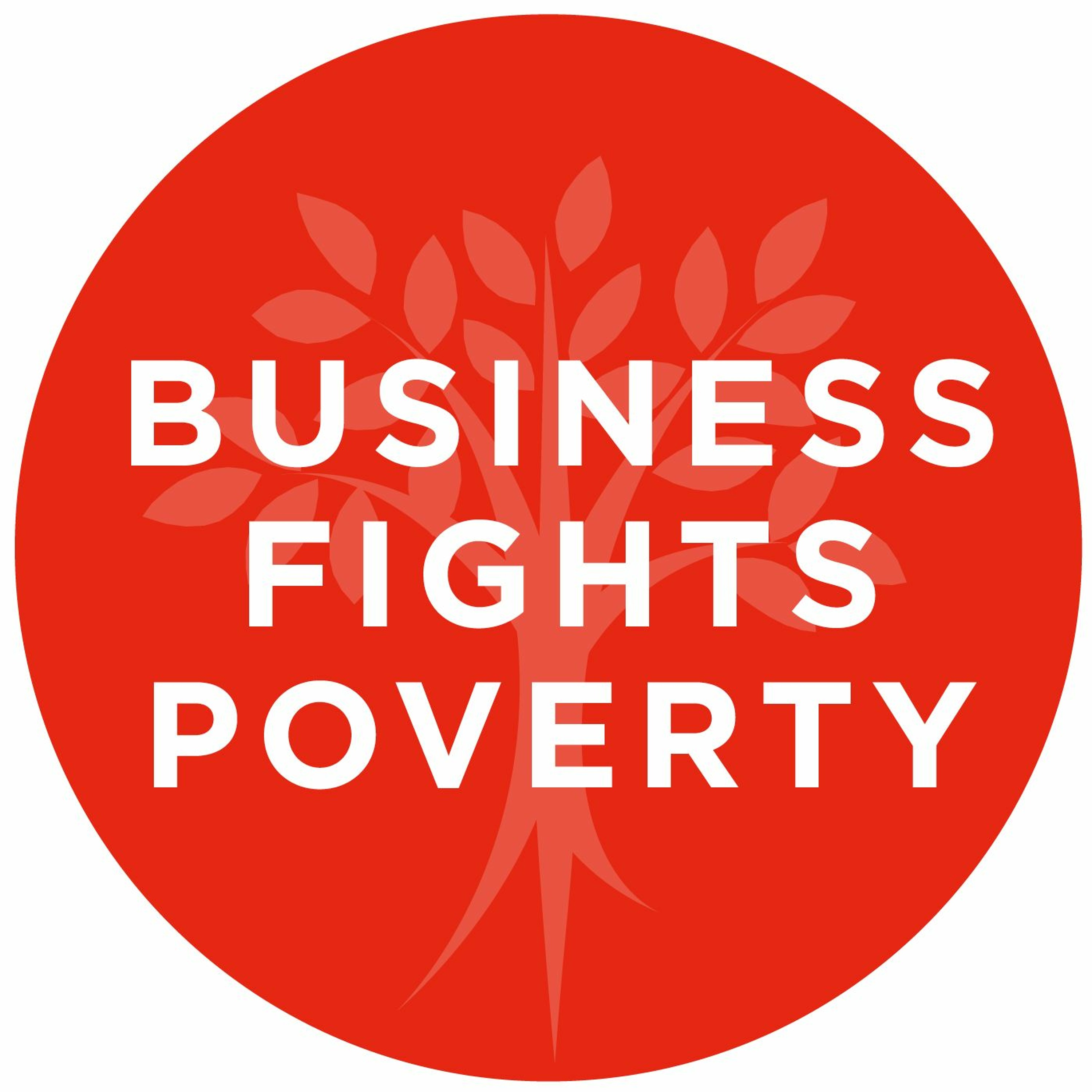 Social Impact Pioneers