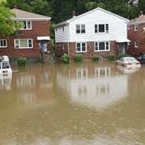 Ocean Front Property