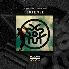 Pimp Chic! & Lowgroov - Intense (Original Mix) | FREE DOWNLOAD