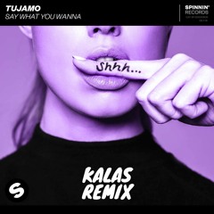 Tujamo - Say What You Wanna (KALAS REMIX)