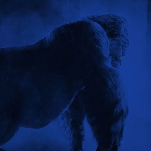 six feet under(water) (DKC Aquatic Ambience Remix)