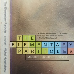 28: Sean C. - THE ELEMENTARY PARTICLES (2000) by Michel Houellebecq