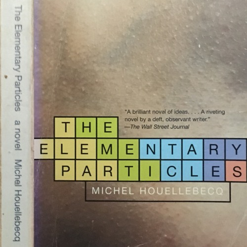 28: Sean C. - THE ELEMENTARY PARTICLES (2000) by Michel Houellebecq