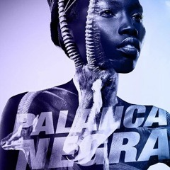 Palanca Negra Volume 1