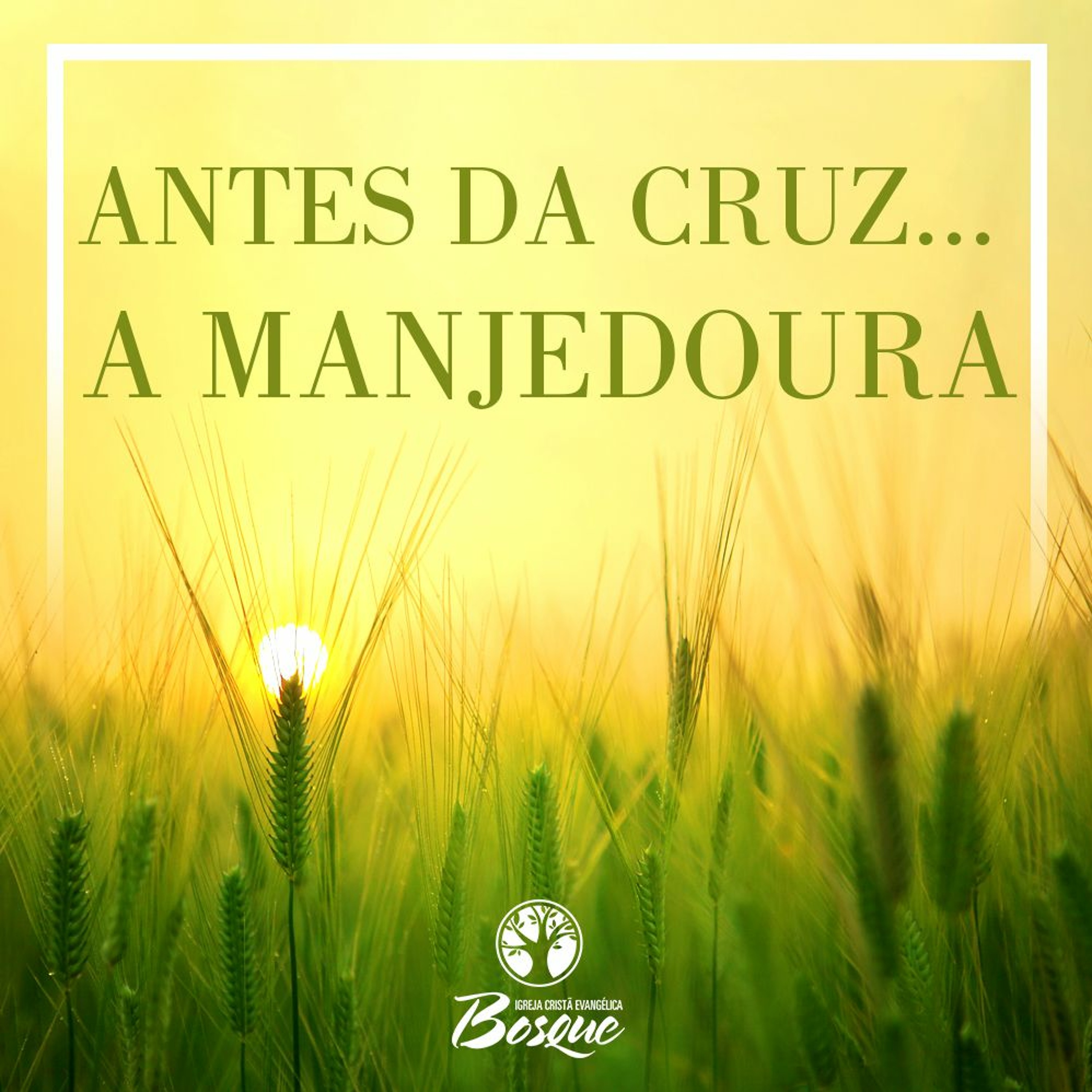 Igreja Cristã Evangélica – Bosque dos Eucaliptos