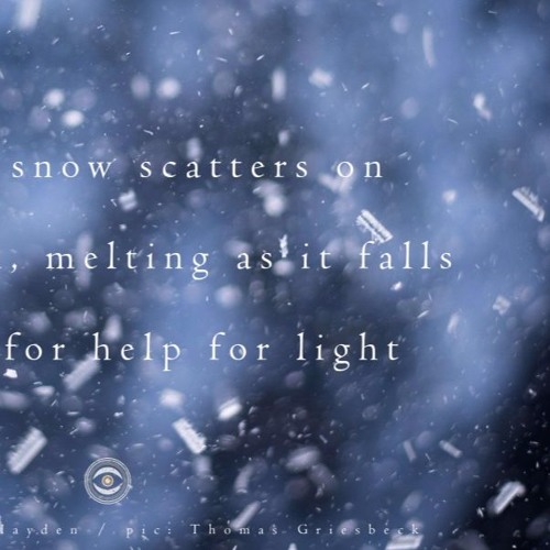 scatters, lays, and melts (naviarhaiku256)