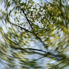 ياسمين علي - تقدر تتكلم - قالي الوداع