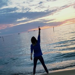 Marshmello-Fly/Ookay-Theif feat. GEØRGIA