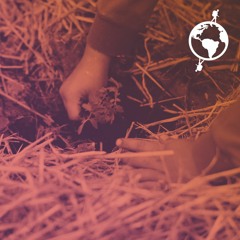 #030 - Viajando o Brasil como mulher em uma experiência ecológica