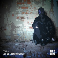 Qoiet - cut me open (Zeden Remix)