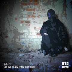 Qoiet - cut me open (Plain Sight Remix)