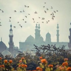 وانْشَقَّتِ السَّمَاءُ فَهِيَ يَوْمَئِذٍ وَاهِيَةٌ | عمر شلبي